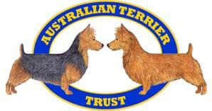 Australian Terrier Trut