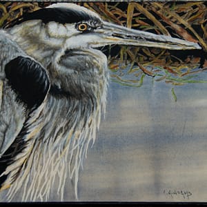 Beulah the Great Blue