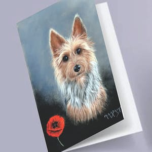 One Poppy