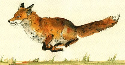Red Fox Hill Studios